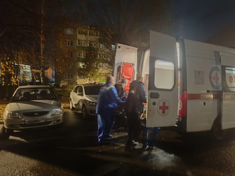 Спасатели помогли медикам эвакуировать пациентку в Серебряных Прудах