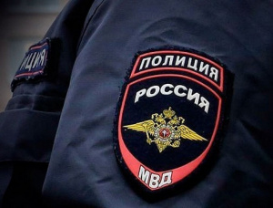 В Серебряных Прудах полицейские раскрыли мошенничество  при получении выплат