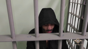 Ирина Волк: Полицейскими в Подмосковье задержан подозреваемый в серии мошенничеств