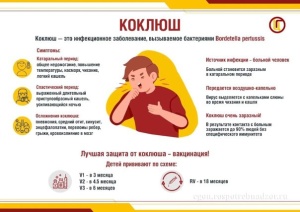 О мерах профилактики коклюша
