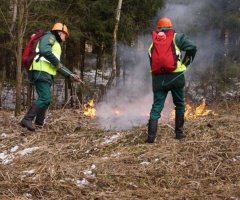 Главам муниципалитетов Подмосковья поручено усилить личный контроль над пожарной безопасностью территорий Главам муниципалитетов Подмосковья поручено усилить личный контроль над пожарной безопасностью территорий