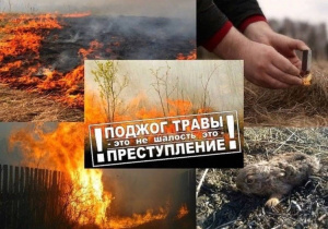 Пал сухой травы очень опасен!