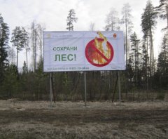 В Подмосковье ведется активная работа по противопожарному обустройству лесов В Подмосковье ведется активная работа по противопожарному обустройству лесов