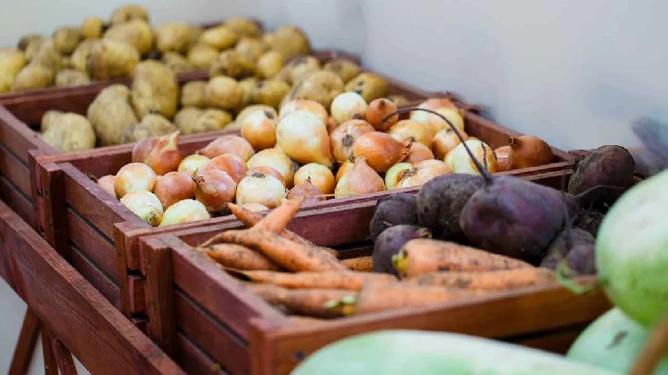 Жителям Серебряных Прудов рассказали о проверенных способах хранения овощей зимой.