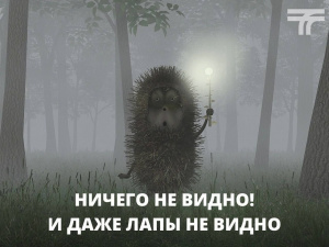 В Москве и Подмосковье сегодня смог и запах гари из-за пожаров в Рязанской области