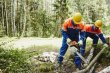 В рамках подготовки к ОЗП в Подмосковье расчищено 3,5 тысячи га просек линий электропередачи В рамках подготовки к ОЗП в Подмосковье расчищено 3,5 тысячи га просек линий электропередачи