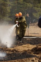 Лесничие Подмосковья призывают не поджигать траву Лесничие Подмосковья призывают не поджигать траву