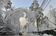 Коммунальные службы Московской области своевременно устраняют последствия обильного снегопада Коммунальные службы Московской области своевременно устраняют последствия обильного снегопада