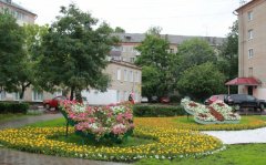 Подмосковье готовится к XIII ежегодному фестивалю цветов Подмосковье готовится к XIII ежегодному фестивалю цветов