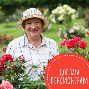 Доплата до 17 000 ₽ для подмосковных пенсионеров