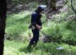 С начала 2015 года взрывотехники Подмосковья уничтожили 80 боеприпасов времен Великой Отечественной войны С начала 2015 года взрывотехники Подмосковья уничтожили 80 боеприпасов времен Великой Отечественной войны