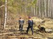 Итог грибного сезона в Московской области: почти 700 заблудившихся в лесах Итог грибного сезона в Московской области: почти 700 заблудившихся в лесах