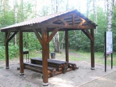 В Подмосковье обустроено почти 1500 «пикниковых зон» в лесах