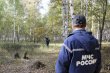 С начала 2016 года в Московской области спасли 34 человека, заблудившихся в лесу С начала 2016 года в Московской области спасли 34 человека, заблудившихся в лесу