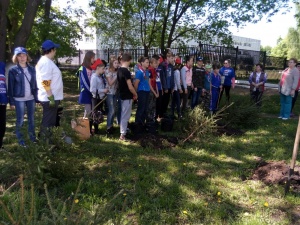 Окончание акции "Лес Победы"