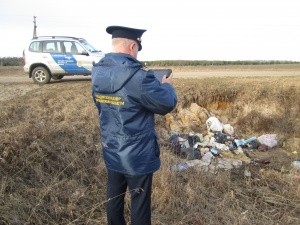 Баженов: благодаря Госадмтехнадзору с начала года в городском округе Зарайск ликвидировано 11 несанкционированных свалок мусора