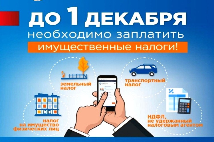 До 1 декабря необходимо заплатить имущественные налоги!