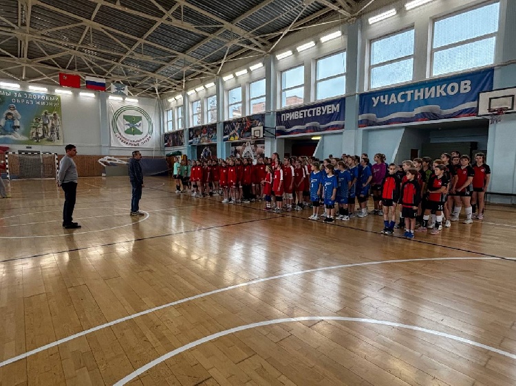 Юные гандболистки разыграли медали Первенства Подмосковья в Серебряных Прудах