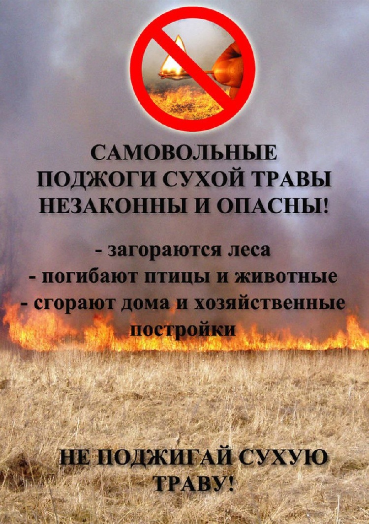 Несмотря на то, что на территории м.о. Серебряные Пруды установилась сухая и ветренная погода, ежедневно продолжаются фиксироваться палы сухой травянистой растительности, что создает реальную угрозу возникновения крупных пожаров. Несмотря на то, что на территории м.о. Серебряные Пруды установилась сухая и ветренная погода, ежедневно продолжаются фиксироваться палы сухой травянистой растительности, что создает реальную угрозу возникновения крупных пожаров.