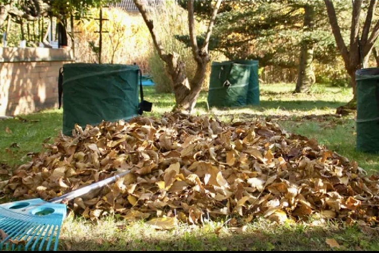 Жителям Серебряных Прудов рассказали о подготовке приусадебных участков к зимнему сезону