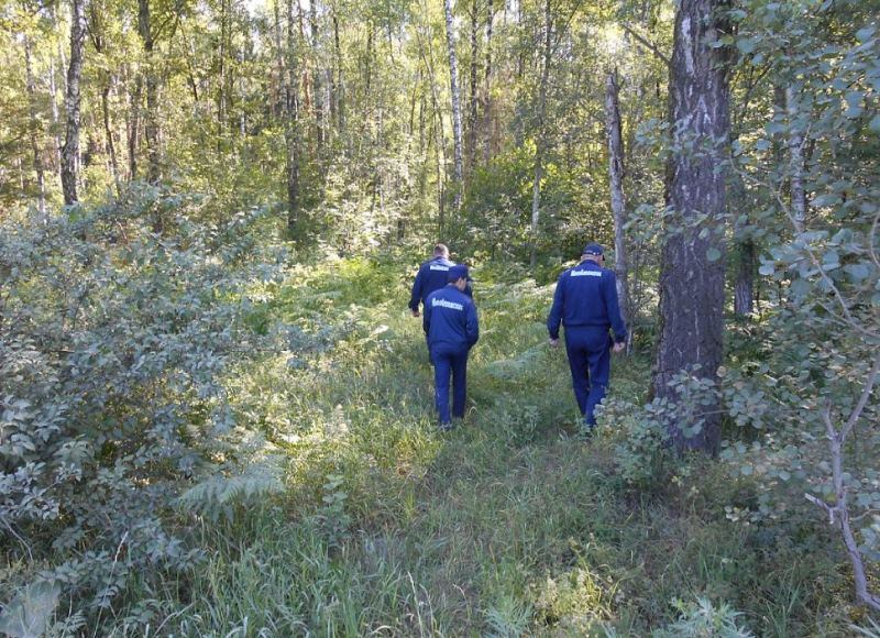 С начала 2017 года спасатели Московской области вывели из леса 153 заблудившихся