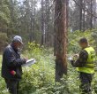 Главам муниципалитетов Подмосковья поручено усилить работу с добровольцами в пожароопасный период Главам муниципалитетов Подмосковья поручено усилить работу с добровольцами в пожароопасный период