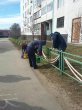 В Московской области стартовал месячник благоустройства В Московской области стартовал месячник благоустройства
