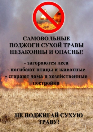 Несмотря на то, что на территории м.о. Серебряные Пруды установилась сухая и ветренная погода, ежедневно продолжаются фиксироваться палы сухой травянистой растительности, что создает реальную угрозу возникновения крупных пожаров.