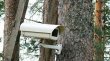 В 2016 году камерами видеонаблюдения для раннего обнаружения пожаров будут охвачены все леса Московской области В 2016 году камерами видеонаблюдения для раннего обнаружения пожаров будут охвачены все леса Московской области