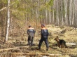 С начала года спасатели Подмосковья вывели из леса свыше 300 заблудившихся С начала года спасатели Подмосковья вывели из леса свыше 300 заблудившихся