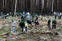 Более 3 тысяч деревьев посадят в Серебряно-Прудском районе Более 3 тысяч деревьев посадят в Серебряно-Прудском районе