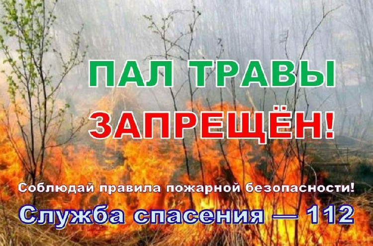 Пал  травы: опасность и ответственность Пал  травы: опасность и ответственность