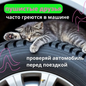 Проверяйте автомобиль перед поездкой