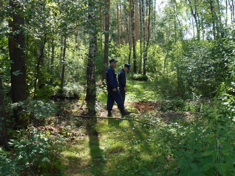 Более 100 заблудившихся вывели из леса спасатели Московской области с начала 2016 года Более 100 заблудившихся вывели из леса спасатели Московской области с начала 2016 года