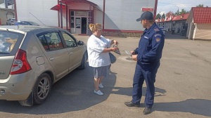 Сотрудники «Мособлпожспас» провели беседы о пожарной безопасности в Серебряных Прудах 