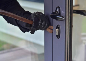 Полицейские в Серебряных Прудах задержали подозреваемого в совершении серии краж из дачных домов