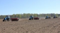 Общие посевные площади в Серебряно-Прудском районе составят 33,4 тыс га Общие посевные площади в Серебряно-Прудском районе составят 33,4 тыс га
