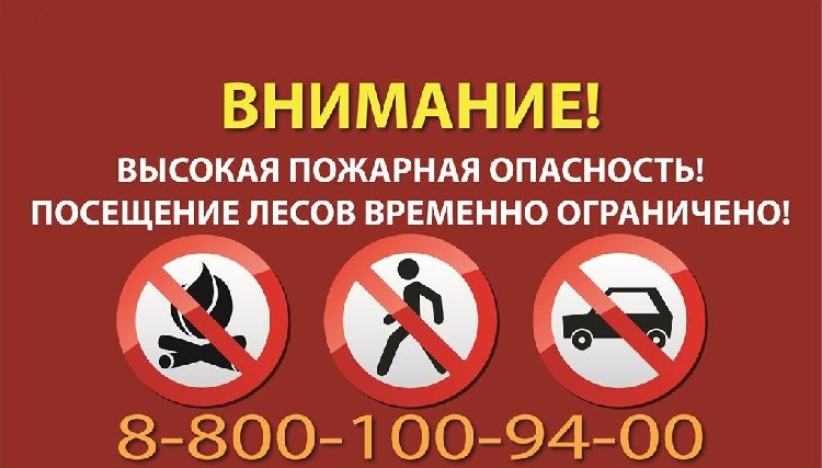 Об ограничении пребывания в лесах Московской области Об ограничении пребывания в лесах Московской области