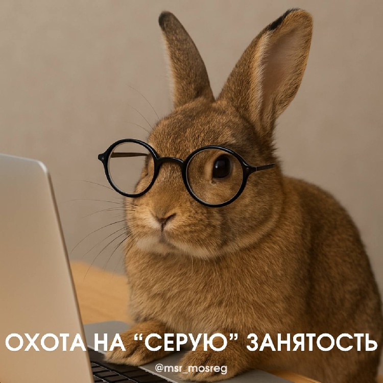 Результаты охоты на «серую» занятость  Результаты охоты на «серую» занятость