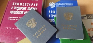 Трудоустройство выпускников, поддержка самозанятых и инвалидов – как «Единая Россия» предлагает изменить сферу занятости Трудоустройство выпускников, поддержка самозанятых и инвалидов – как «Единая Россия» предлагает изменить сферу занятости