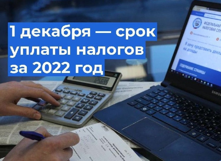 Если не заплатить налоги до 1 декабря, налоговая начнет начислять пени Если не заплатить налоги до 1 декабря, налоговая начнет начислять пени