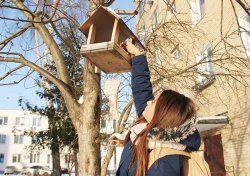 В Серебряных Прудах прошла акция «Покорми птиц» В Серебряных Прудах прошла акция «Покорми птиц»