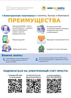 "Электронная платёжка": понятно, быстро и безопасно