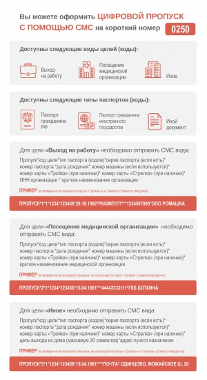 В Подмосковье заработал короткий номер 0250, с помощью которого можно получить цифровой пропуск для разных целей В Подмосковье заработал короткий номер 0250, с помощью которого можно получить цифровой пропуск для разных целей
