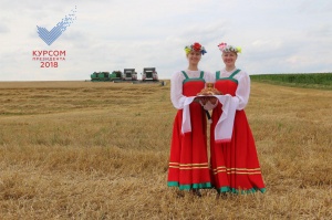 В 2018 году посевная площадь земель в Подмосковье превысит 580 тыс га В 2018 году посевная площадь земель в Подмосковье превысит 580 тыс га