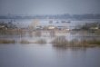 Правительство Московской области принимает заблаговременные меры по снижению рисков весеннего половодья Правительство Московской области принимает заблаговременные меры по снижению рисков весеннего половодья