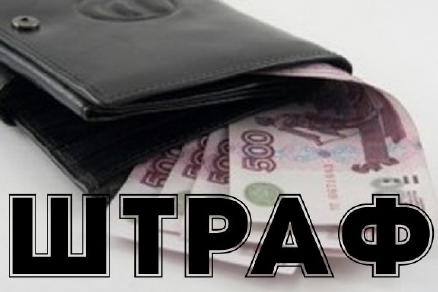 Установлена ответственность за отсутствие договора на вывоз мусора Установлена ответственность за отсутствие договора на вывоз мусора