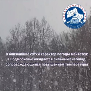 В Подмосковье ожидается сильный снегопад