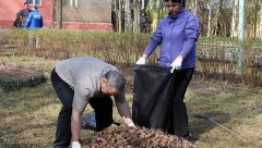 Королёв готовится к общеобластному субботнику Королёв готовится к общеобластному субботнику
