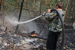 Свыше 50 тысяч добровольных пожарных помогут Подмосковью в пожароопасный период Свыше 50 тысяч добровольных пожарных помогут Подмосковью в пожароопасный период